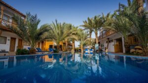 Find cocaine in Dahab
